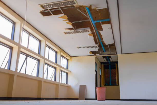 Best Basement water damage restoration  in Upper Lake, CA