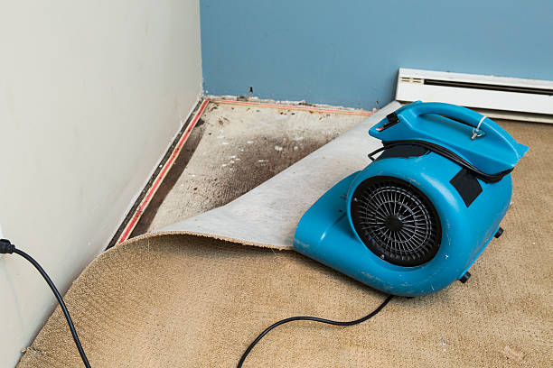 Carpet water damage restoration in CA